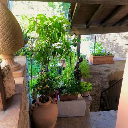 La Fontana Di Pegaso Bed & Breakfast Tivoli