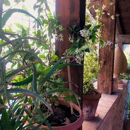 La Fontana Di Pegaso